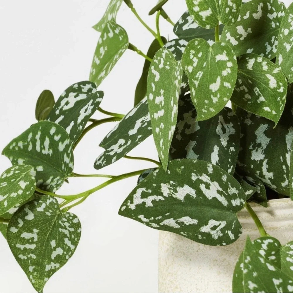 10” Faux Satin Variegated Pothos Plant - Hearth & Hand with Magnolia